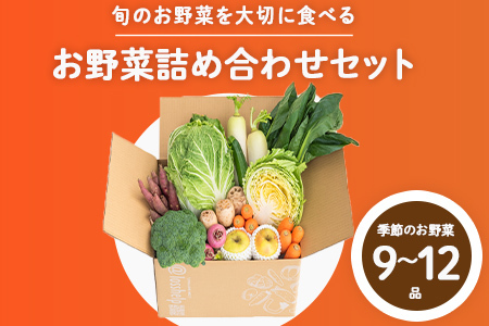 多数のメディアで紹介されました![訳あり]旬のもったいないお野菜詰め合わせセット