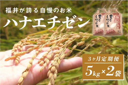 令和6年産 ハナエチゼン 定期便(3ヶ月連続お届け)計30kg((5kg × 2袋) × 3ヶ月)