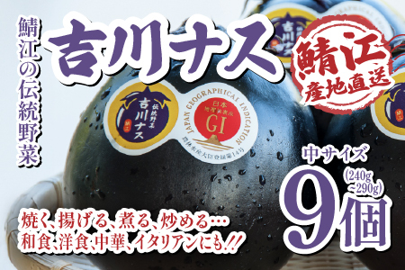 [先行予約!6月20日以降順次発送予定]期間限定 吉川ナス 1箱(9個入)