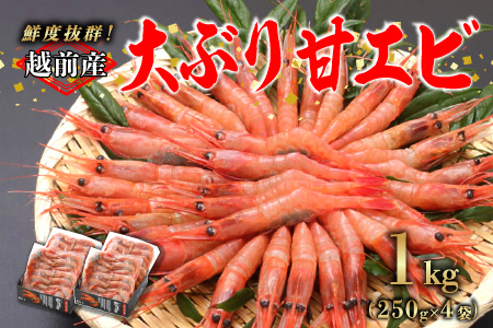 [小分け]越前産冷凍甘えび大サイズ 約250g × 4パック 合計約1.0kg