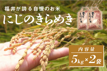 [2025年11月以降 順次発送予定][ふるなび限定!100袋限定販売!!]令和7年産 にじのきらめき 通常便(1回配送)計10kg(5kg×2袋