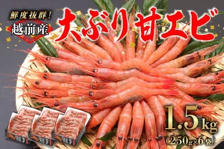 yzzOYⓀÂёTCY 250g × 6pbN v1.5kg