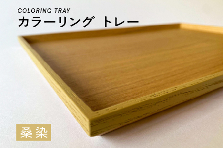 カラーリング トレー 桑染(くわぞめ)