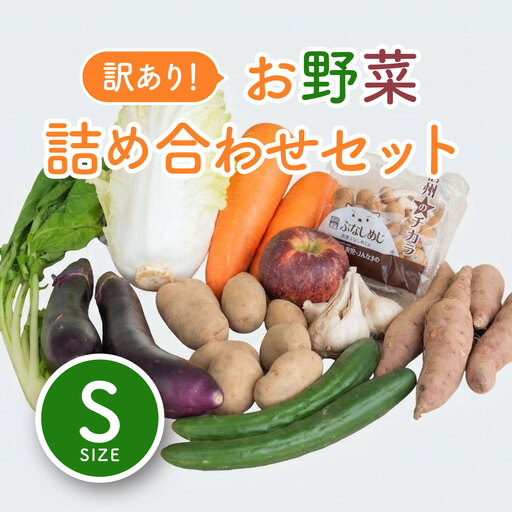 ＜ロスヘル＞多数のメディアで紹介されました！【訳あり】旬のもったいないお野菜詰め合わせセット　Sサイズ