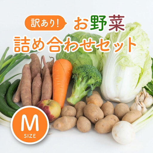 ＜ロスヘル＞多数のメディアで紹介されました！【訳あり】旬のもったいないお野菜詰め合わせセット　Mサイズ