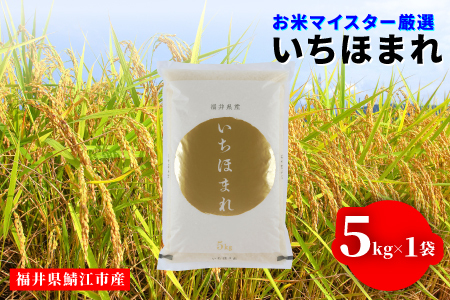 令和7年産 いちほまれ 5kg(5kg × 1袋)