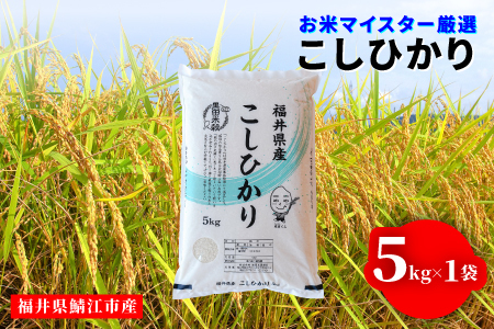 [令和7年産]コシヒカリ 5kg(5kg × 1袋)