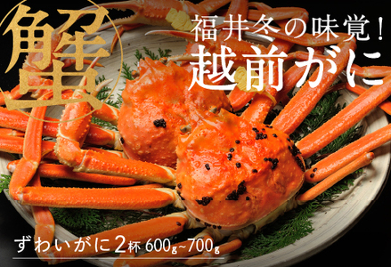 [産地直送]先行予約! 福井冬の味覚!越前がに(600〜700g × 2杯) 2024年11月15日以降発送