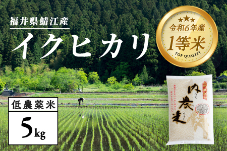 [令和6年産新米]2024年10月中旬以降順次発送!福井県産 内農米 イクヒカリ 5kg+黒米300g