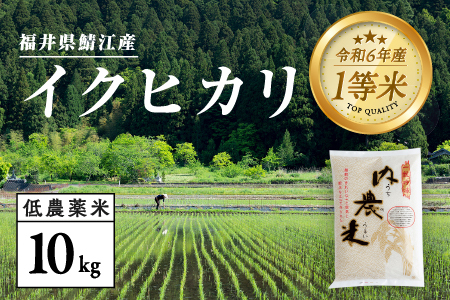 [令和6年産新米]2024年10月中旬以降順次発送!福井県産 内農米 イクヒカリ 10kg