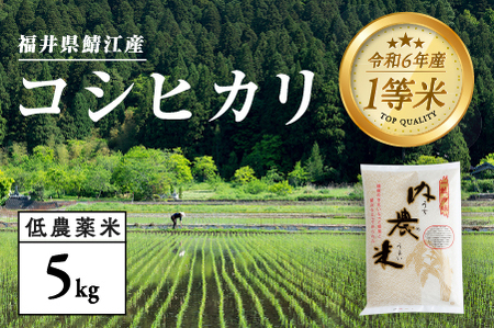 [令和6年産新米]2024年10月以降順次発送 !福井県産 内農米 コシヒカリ 5kg+黒米300g