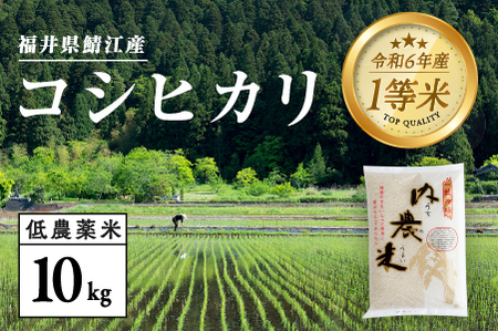 [令和6年産新米]2024年10月以降順次発送 !福井県産 内農米 コシヒカリ 10kg