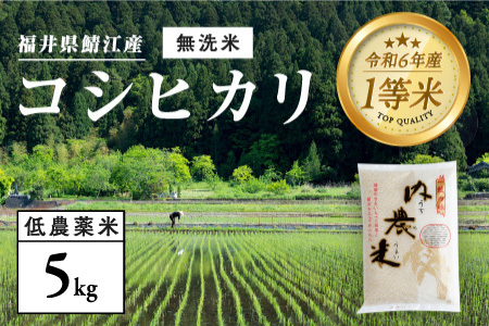 [令和6年産新米]2024年10月以降順次発送 !福井県産 内農米 コシヒカリ 無洗米 5kg