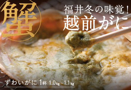 [産地直送]先行予約! 福井冬の味覚!越前がに 1杯 1.0〜1.1kg 2024年11月15日以降発送