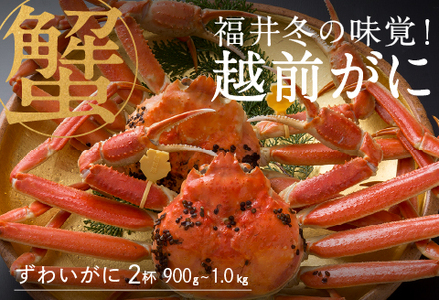 [産地直送]先行予約! 福井冬の味覚!越前がに(900g〜1kg)× 2杯 2024年11月15日以降発送