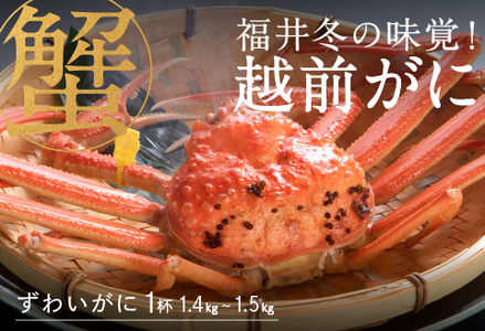 yʉiԉIzyYnz~̖oIzO 1t 1.4kg`1.5kg