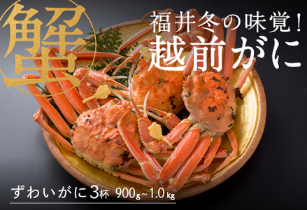 [産地直送]先行予約! 福井冬の味覚!越前がに(900〜1kg)× 3杯 2024年11月15日以降発送