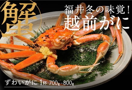 yʉiԉIzyYnz~̖oIzO 1t 700`800g