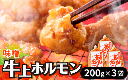 牛味噌 上ホルモン 200g×3袋(1〜2人前×3袋) 計600g [絶品!炒めるだけ簡単!] / 価格下げました! 味付け 肉 焼肉 BBQ バーベキュー もつ ホルモン 小分け おつまみ 冷凍 アウトドア やみつき 人気