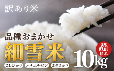 y󂠂zyʌzsY ߘa7NY אāiRVqJEniG`[Êꂩj  10kg sOāt / 䌧Y    uh [aw012-b018]