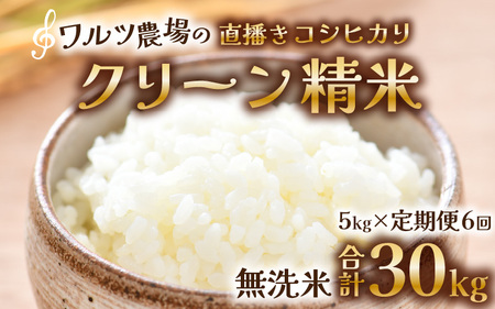 [先行予約][令和8年産 新米][定期便6回]ワルツ農場の直播き コシヒカリ クリーン精米(無洗米) 5kg(計30kg) / お米 ご飯 白米 発送直前 精米 つや 艶 甘味 旨み あわら市産 福井県産 慣行栽培 コメ 北陸 福井県 あわら市 こしひかり ※2026年11月上旬以降発送予定 [aw046-f003]