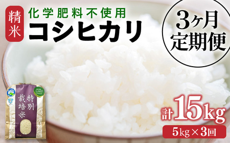 [先行予約][令和7年産]定期便 ≪3ヶ月連続お届け≫ 化学肥料不使用 特別栽培米 コシヒカリ 精米 5kg × 3回(合計15kg)※2025年10月上旬より順次発送 [aw010-c002]
