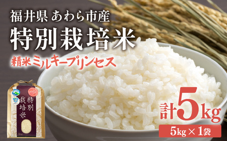 [先行予約][令和7年産]化学肥料不使用 特別栽培米 ミルキープリンセス 精米 5kg/ 白米 福井県あわら市産 美味しい 特別栽培 減農薬 安心な 旨味 甘み もっちり 冷蔵保管 ※2025年10月上旬より順次発送 [aw010-a012]