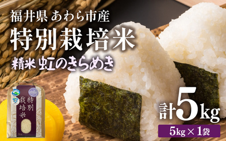 [先行予約][令和7年産]化学肥料不使用 特別栽培米 虹のきらめき 精米 5kg / 白米 福井県あわら市産 美味しい 特別栽培 減農薬 安心な 旨味 甘み もっちり 冷蔵保管 ※2025年9月下旬より順次発送 [aw010-a013]