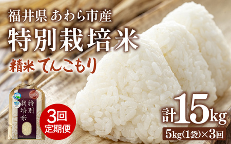[先行予約][令和7年産]定期便 ≪3ヶ月連続お届け≫ 化学肥料不使用 特別栽培米 てんこもり 精米 5kg × 3回(合計15kg) / 白米 福井県あわら市産 美味しい 特別栽培 減農薬 安心な 旨味 甘み もっちり 冷蔵保管 ※2025年10月上旬より順次発送 [aw010-c003]