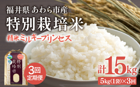[先行予約][令和7年産]定期便 ≪3ヶ月連続お届け≫ 化学肥料不使用 特別栽培米 ミルキープリンセス 精米 5kg × 3回(合計15kg)/ 白米 福井県あわら市産 美味しい 特別栽培 減農薬 安心な 旨味 甘み もっちり 冷蔵保管 ※2025年10月上旬より順次発送 [aw010-c007]