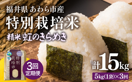 [先行予約][令和7年産]定期便 ≪3ヶ月連続お届け≫ 化学肥料不使用 特別栽培米 虹のきらめき 精米 5kg × 3回(合計15kg) / 白米 福井県あわら市産 美味しい 特別栽培 減農薬 安心な 旨味 甘み もっちり 冷蔵保管 ※2025年10月上旬より順次発送 [aw010-c008]