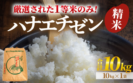 [令和6年産][一等米]ハナエチゼン 精米 10kg ×1袋[発送直前精米!] / ブランド米 華越前 ご飯 お米 白米 新鮮 あわら市産 農家直送 大賞 受賞 [aw012-b006]