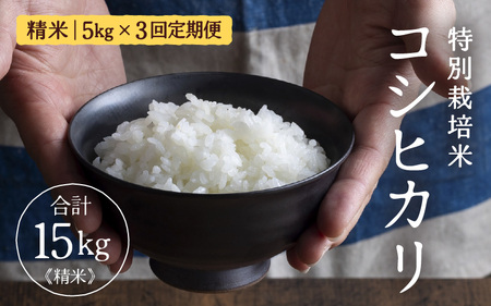 [先行予約]定期便 ≪3ヶ月連続お届け≫ 令和7年産 特別栽培米 コシヒカリ 精米 5kg×3回(計15kg)[2025年10月上旬以降 順次発送予定] [aw121-d002]