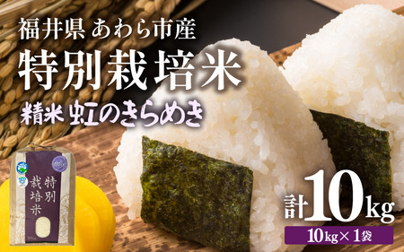 【先行予約】【令和7年産】化学肥料不使用 特別栽培米 虹のきらめき 精米 10kg × 1袋 / 白米 米 福井県あわら市産 美味しい 特別栽培米 減農薬 安心な米 旨味 甘み もっちり 冷蔵保管米 ※2025年9月下旬より順次発送 [aw010-a013]