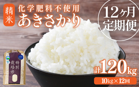 【先行予約】【令和7年産】定期便 ≪12ヶ月連続お届け≫ 化学肥料不使用 特別栽培米 あきさかり 精米 10kg × 12回（合計120kg）※2025年10月上旬より順次発送 [aw010-p001]