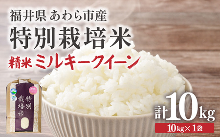 [先行予約][令和7年産]化学肥料不使用 特別栽培米 ミルキークイーン 精米 10kg × 1袋 ※2025年9月下旬より順次発送 [aw010-b006]