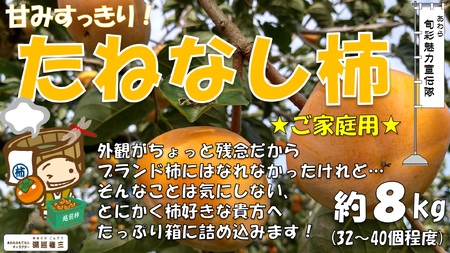 [先行予約][訳あり] 甘みすっきり!あわらのたねなし柿 約8kg(32個〜40個)(ご家庭用)/ 果物 フルーツ 産地直送 期間限定 ※2025年10月中旬以降準備出来次第発送 [aw031-a004]