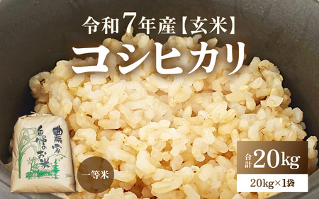 [先行予約][令和7年産・新米]コシヒカリ 玄米 20kg / 米 こしひかり コシヒカリ 福井県 新米 一等米 玄米 あわら市 福井県 ※2025年9月下旬より順次発送予定 [aw096-d001]