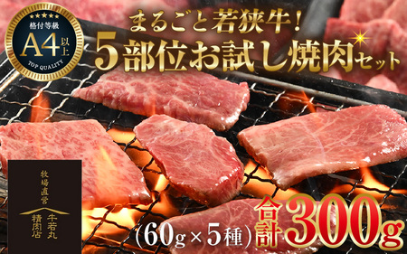 ܂邲ƎዷI5ʂēZbg 300gi60g×5j^ Y  A4 A5 uh [aw009-a004]