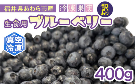 [訳あり]冷凍果実 福井県あわら市産 生食用ブルーベリー 真空冷凍 400g / ブルーベリー 冷凍 国産 目の健康 大粒 抗酸化作用 フルーツ 果物 お取り寄せ [aw007-a008]
