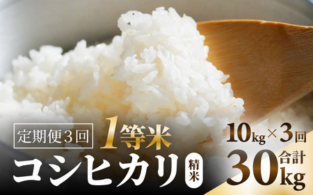 yߘa7NYz 3A͂yꓙāzRVqJ  10kg 3ցiv30kgj ^ ꓙ 䌧Y uh    R VN V [aw098-g001]