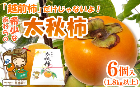 [先行予約]「越前柿」だけじゃないよ!希少なあわらの「太秋柿」6個入(1.8kg以上) / 果物 フルーツ 産地直送 期間限定 ※2025年10月中旬以降準備出来次第発送 [aw031-a007]