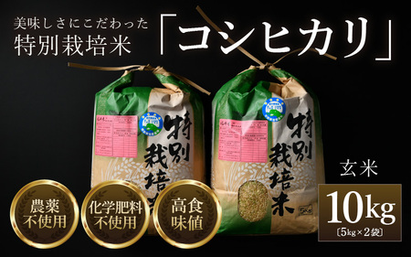 [令和6年産]コシヒカリ 玄米 5kg×2袋(計10kg) 特別栽培米 農薬不使用 化学肥料不使用 / 残留農薬ゼロ 高品質 福井県産 ブランド米 玄米 [aw063-c006]