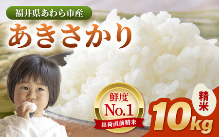 yߘa7NYEVāz  10kg × 1܁iv10kgj ^ 䌧Y uh    R VN V [aw012-b017]