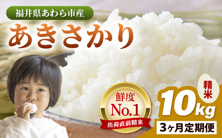 yߘa7NYEVāz 3A͂   10kg × 3iv30kgj ^ 䌧Y uh    R VN V [aw012-g004]