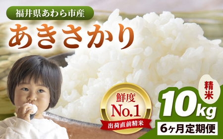 yߘa7NYEVāz 6A͂   10kg × 6iv60kgj ^ 䌧Y uh    R VN V [aw012-l004]