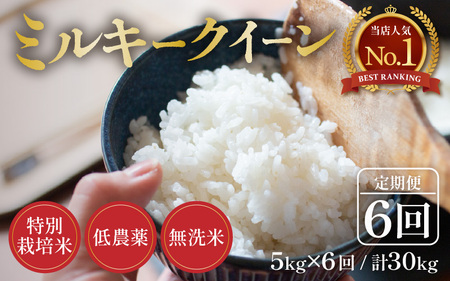 yߘa7NY Vāzցs6A͂t5kg×6iv30kgj ʍ͔| ~L[NC[  _ sHl85_ȏI薳āt / 䌧 s k   lC 