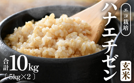 [先行予約][令和8年産 新米] エコ栽培ハナエチゼン 玄米10kg (5kg×2袋) / 鮮度抜群 福井県産 はなえちぜん ご飯 新鮮 玄米 ※2026年9月上旬以降順次発送予定 [aw063-b009]