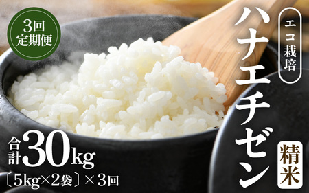 [先行予約][令和8年産 新米] 定期便≪3ヶ月連続お届け≫エコ栽培ハナエチゼン 精米 10kg×3回(計30kg) / 鮮度抜群 福井県産 はなえちぜん ご飯 新鮮 白米 ※2026年9月上旬以降順次発送予定 [aw063-f002]