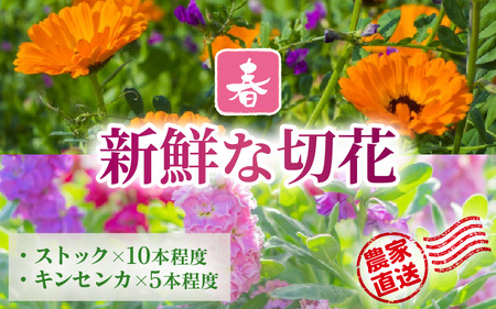 [先行予約]花農家直送 新鮮な切花[春] / 生花 お花 旬の花束 豊かな生活 花のある生活 15本程度 2種 季節 花 ※2026年3月下旬以降発送予定 [aw099-a001]